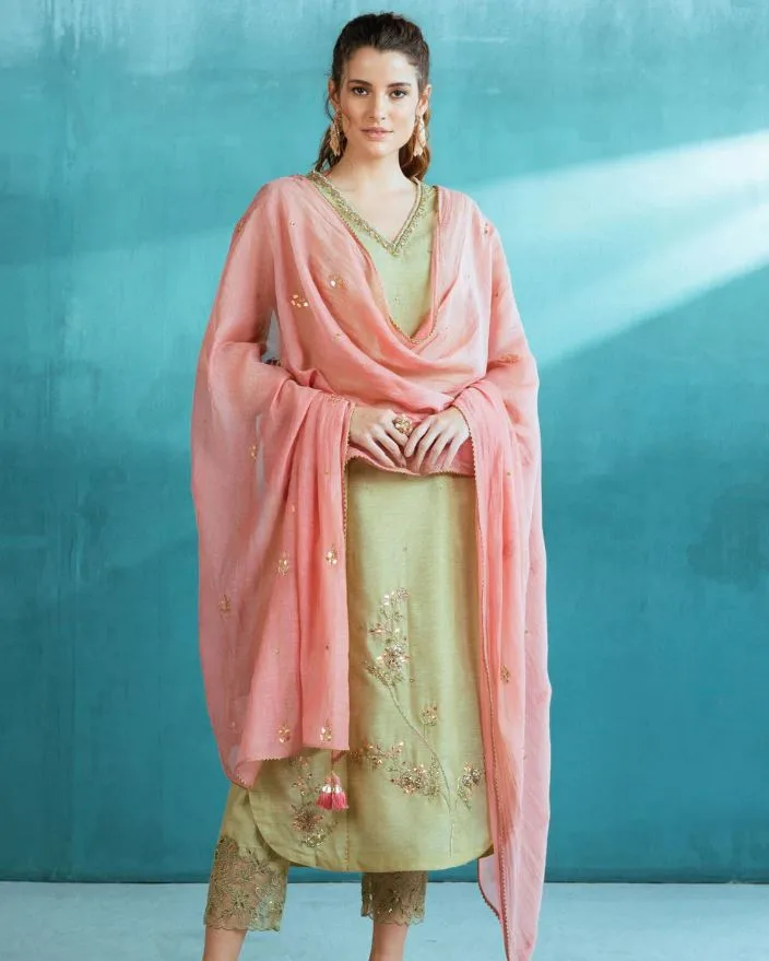 Kurta Pant Set : रॉयल लुक कैरी करने के लिए पहने ये सलवार सूट, देखे डिज़ाइन Kurta Pant Set : रॉयल लुक कैरी करने के लिए पहने ये सलवार सूट, देखे डिज़ाइन