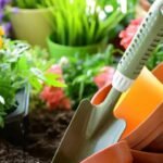 Gardening Tips : बगीचे को हरा-भरा रखने के लिए इन टिप्स और ट्रिक्स का करे इस्तेमाल !