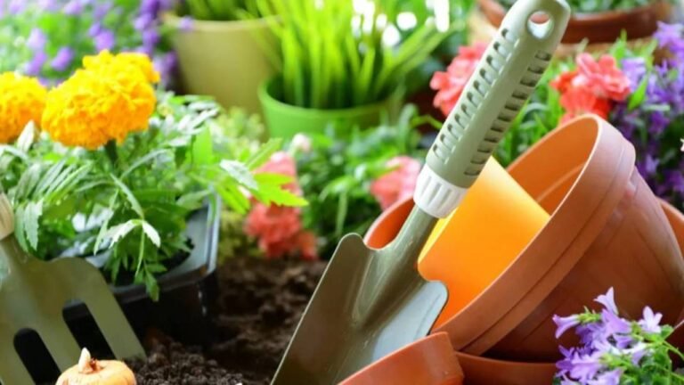 Gardening Tips : बगीचे को हरा-भरा रखने के लिए इन टिप्स और ट्रिक्स का करे इस्तेमाल !