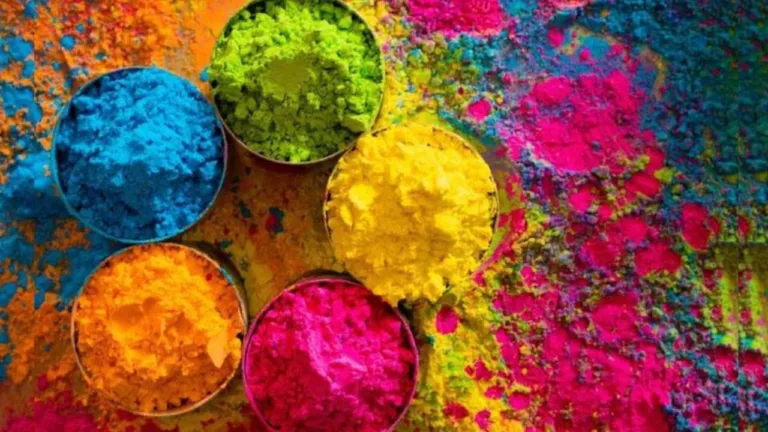 Holi 2024 : होली में इन रंगों से खेले होली, त्वचा को नहीं होगा कोई नुकसान