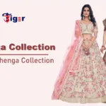 Best 5 Lehenga Collection
