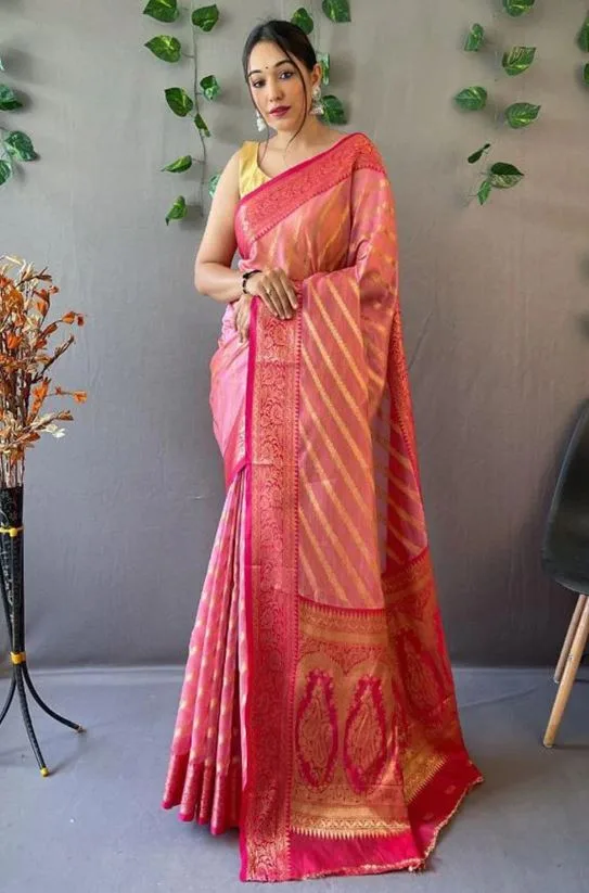 Saree Design : हाइ क्लास लूक पाने के लिए इन साड़ियों को करे ट्राई, देखे डिज़ाइन