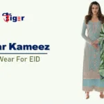 Salwar Kameez : सलवार कमीज़ के 3 क्लासी डिज़ाइन आपको देंगे एलिगेंट लुक