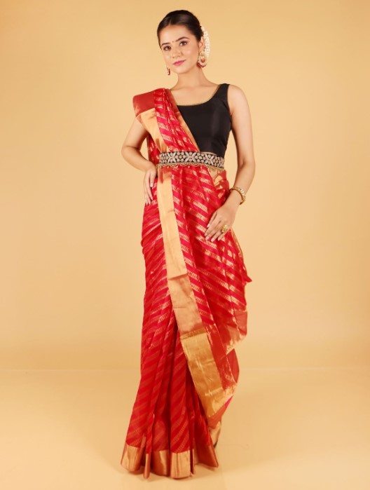 Chanderi Silk Saree : चँदेरी साड़ी आपको देंगे क्लासी और खूबसूरत लुक