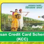 क्या है किसान क्रेडिट योजना, किसानों को कैसे मिलता है इस योजना का लाभ, जानिए आवेदन प्रक्रिया से लेकर सबकुछ