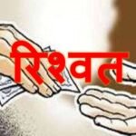 MP Nursing College Scam