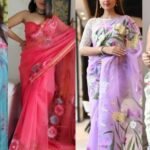 Organza Saree Design