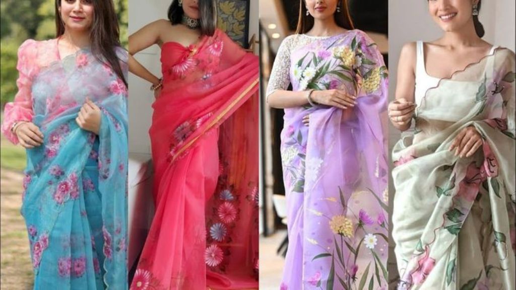Organza Saree Design