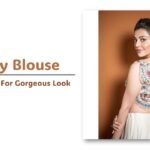 Trendy Blouse Design : फैन्सी लुक पाने के लिए ट्राई करे ये ब्लाउज, देखे डिजाइन