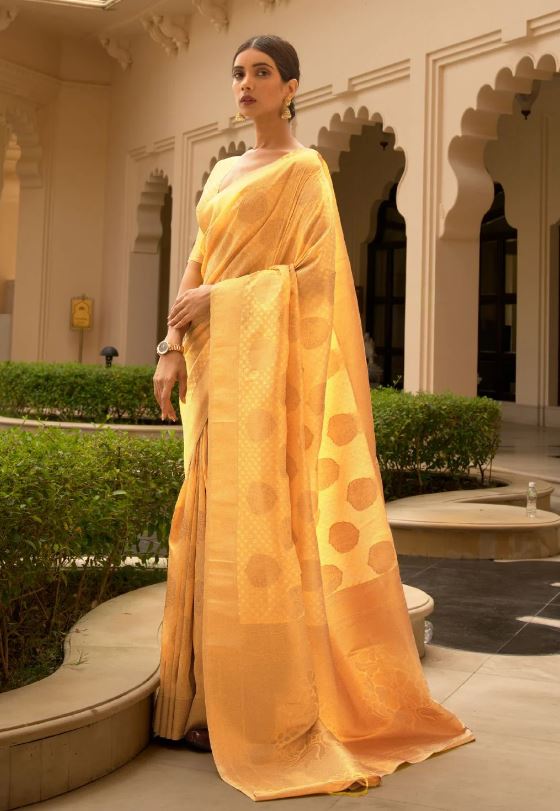 Fancy Saree Collection : साड़ी पहनना है पसंद तो ट्राई करे ये साड़ियाँ