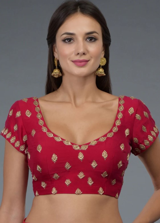 Blouse Design : प्लेन साड़ी के साथ इन ब्लाउज को करे ट्राई, देंगे ग्लैम लुक