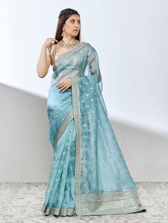 Organza Saree Design : ये खूबसूरत ऑर्गेंजा साड़ियां आपको देंगी गॉर्जियस लुक, देखें डिजाइन