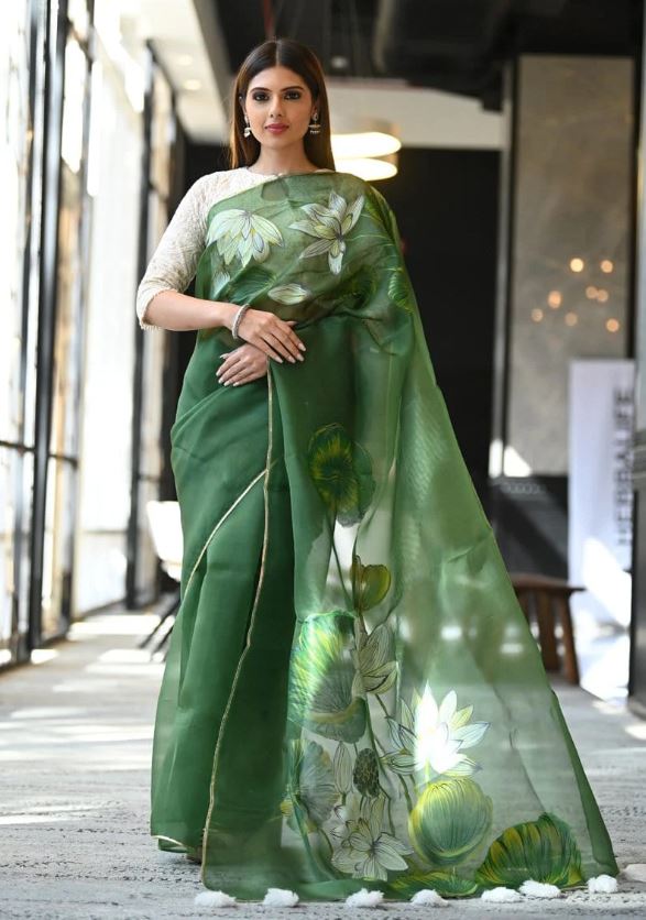 Organza Saree Design : ये खूबसूरत ऑर्गेंजा साड़ियां आपको देंगी गॉर्जियस लुक, देखें डिजाइन