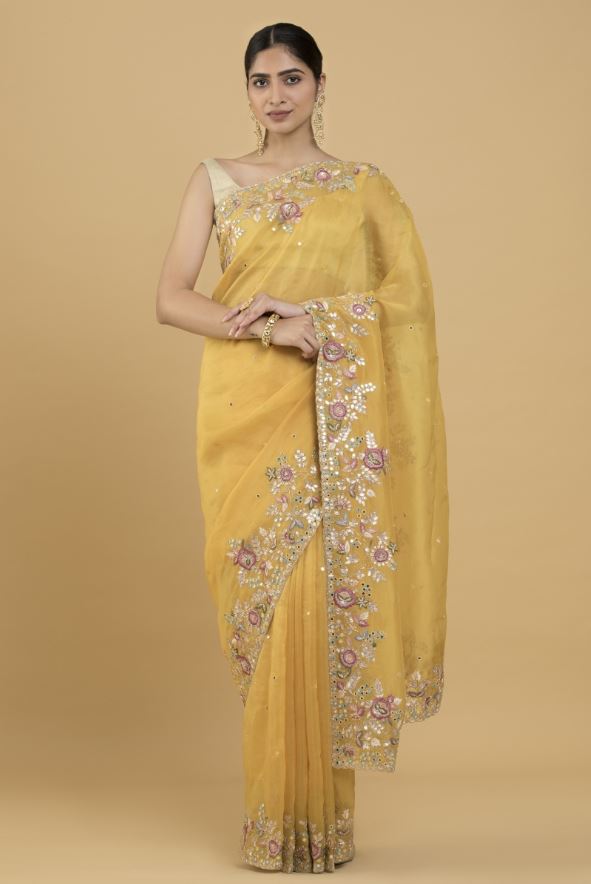 Organza Saree Design : ये खूबसूरत ऑर्गेंजा साड़ियां आपको देंगी गॉर्जियस लुक, देखें डिजाइन