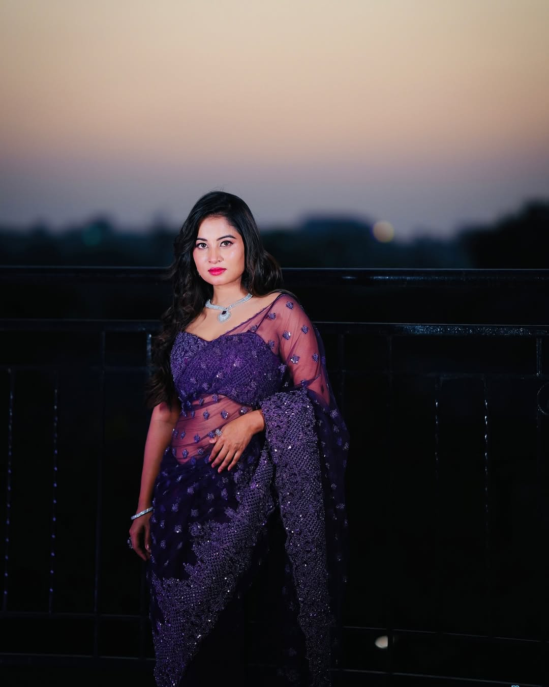 Anusha Rai Purple Net Saree