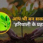 Campaign for greenery through seeds in rainy season, become environmental protector unknowingly