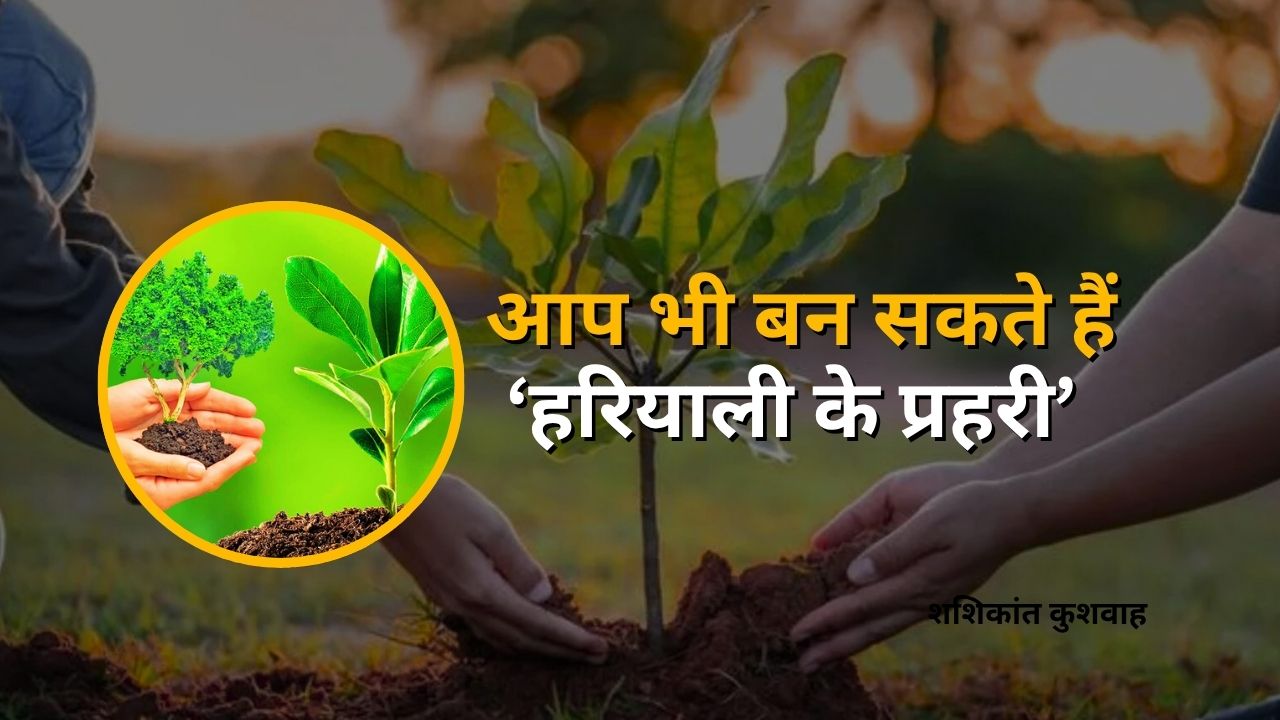 Campaign for greenery through seeds in rainy season, become environmental protector unknowingly