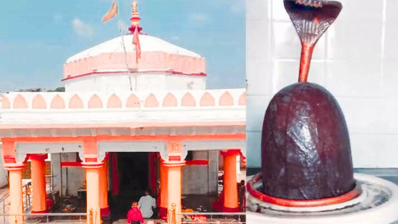 Shiva Temples of Vindhya: An indelible image of faith and mystery for centuries