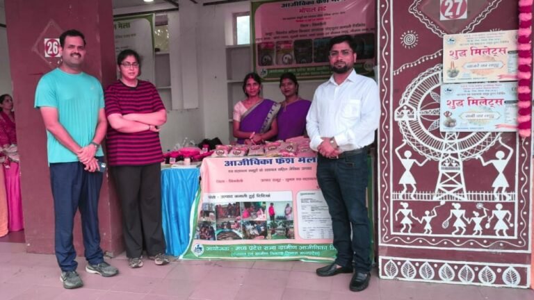 Bhopal Haat, Aajeevika Fresh Mela, Organic Products, Self Help Group, Singrauli, Chemical Side Effects
