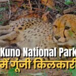 Kuno National Park