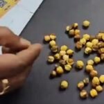Gorakhpur adulterated roasted chickpeas