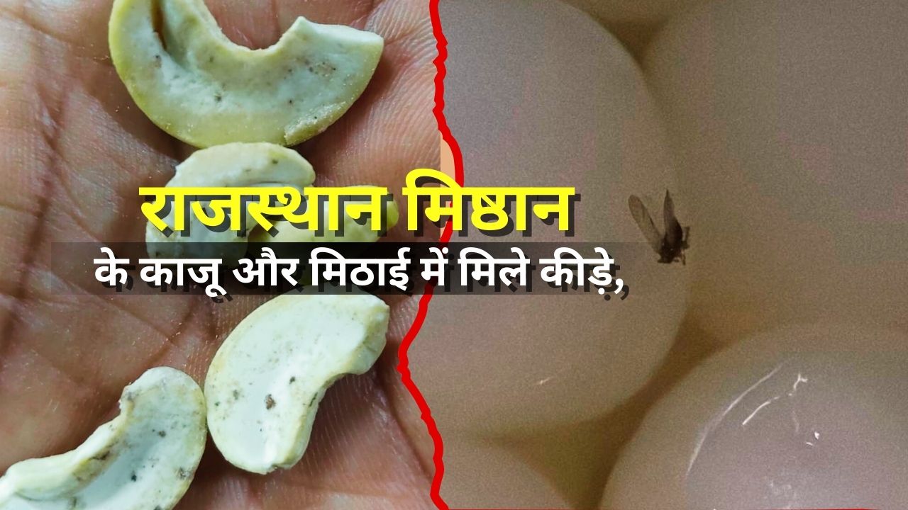 Rajasthan sweets insects were found in the sweets and cashews. Read the full story.