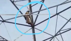 बेटे की गिरफ्तारी से आहत मां हाईटेंशन टावर पर चढ़ी,घंटों मशक्कत के बाद सकुशल उतारी गई