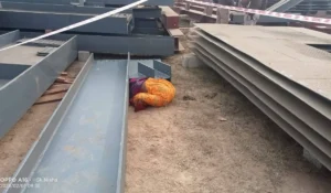 सिंगरौली में ऐश डैम में फंसने से महिला की मौत।