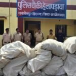 MP में अवैध गांजा खेती पर बड़ी कार्रवाई, डेढ़ करोड़ के 5900 पौधे जब्त