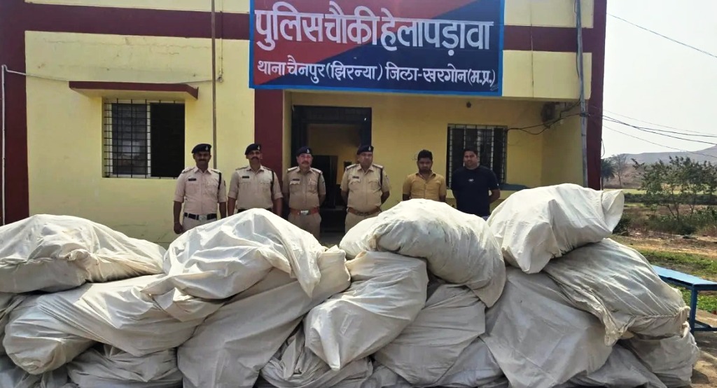 MP में अवैध गांजा खेती पर बड़ी कार्रवाई, डेढ़ करोड़ के 5900 पौधे जब्त