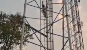 सिंगरौली मे घर गिराए जाने से नाराज़ महिला टावर पर चढ़ी, पुलिस ने संभाला मोर्चा