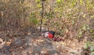 जंगल में मिला अज्ञात महिला का शव, मचा हड़कंप।