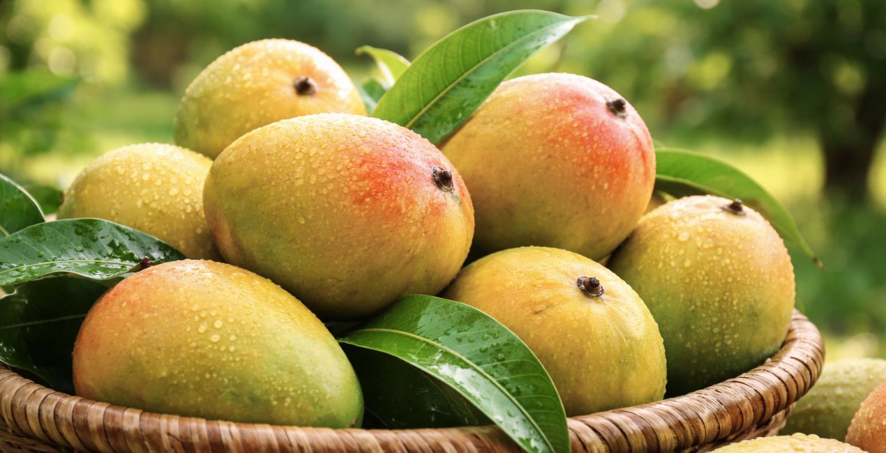 भारत का आमों का शहर कौन सा है? जानिए ‘मैंगो कैपिटल’ की पूरी कहानी