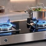 Hydrogen Cooking Stove : क्या सच में LPG का जमाना होगा खत्म? 1.5 लाख के गैस स्टोव की जानें तकनीक और फायदे