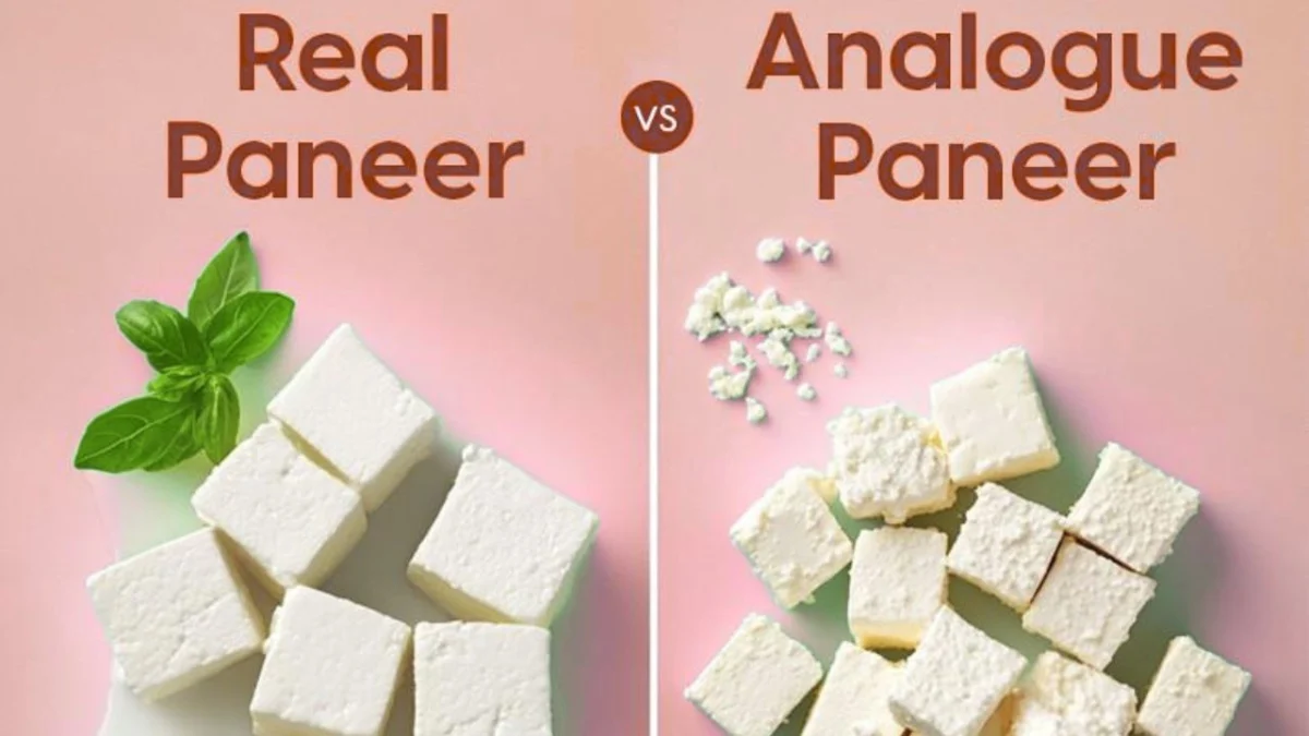 नकली पनीर से सावधान! जानिए एनालॉग पनीर क्या है? और इसके नुकसान?