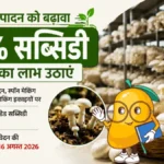 Mushroom Farming