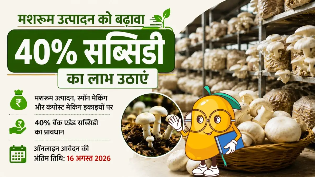 Mushroom Farming