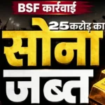 BSF Gold Seizure