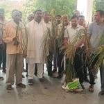सिंगरौली: हिंडालको के धुएं से ओड़गड़ी में फसलें पूरी तरह बर्बाद, सरपंच ने कलेक्टर को आवेदन सौंपकर की मुआवज़े की माँग