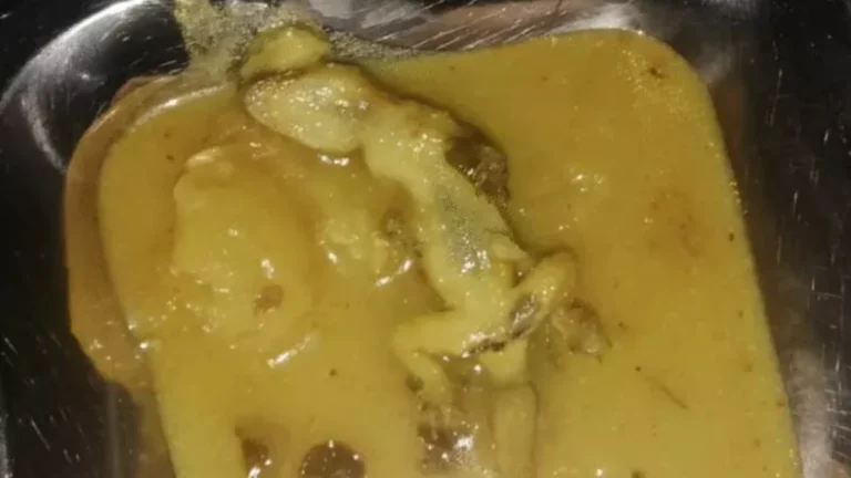 श्रमोदय हॉस्टल में खाने में मरी छिपकली मिलने से हड़कंप, 13 बच्चे बीमार